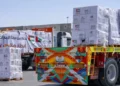 Portavoz de las FDI