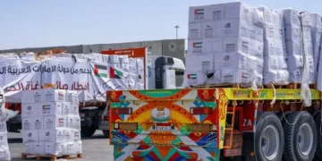 Portavoz de las FDI