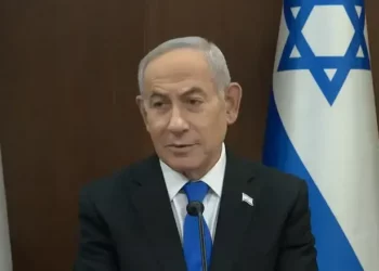 Roi Avraham/GPO