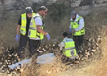 צילום: זק"א