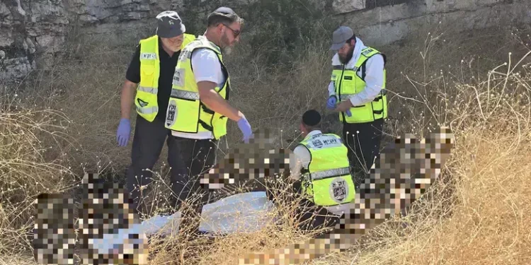 צילום: זק"א