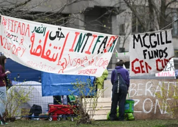 Estudiantes y activistas propalestinos y antiisraelíes protestan en un campamento antiisraelí en el campus de la Universidad McGill en Montreal, Canadá, el 29 de abril de 2024. (Graham Hughes/AFP)