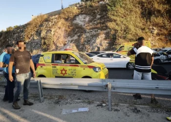 Seis muertos, entre ellos cuatro menores, en varios accidentes en un día