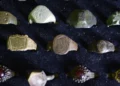 Anillos venidos del espacio: el secreto en las joyas de las élites antiguas