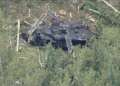 Black Hawk