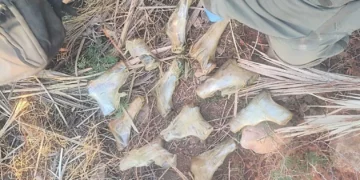 Armas capturadas por las fuerzas israelíes en la frontera con Jordania, 25 de agosto de 2026. (Policía de Israel)