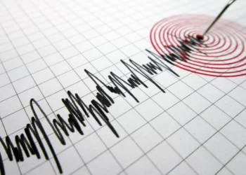 Un terremoto de magnitud 5,6 sacude Suez y se siente con fuerza en Israel Un terremoto de magnitud 5,6 se registró esta noche, entre el domingo y el lunes, en la zona egipcia de Suez. El movimiento se percibió con intensidad en el sur de Israel y en la región del mar muerto, aunque las autoridades de Egipto no informaron de víctimas ni de daños materiales. Poco antes de que comenzara el temblor, los habitantes del sur recibieron alertas en sus teléfonos móviles. Numerosos usuarios de internet contaron después que el movimiento los despertó y les provocó momentos de temor dentro de sus viviendas. “Un susto de muerte, todo se movía”, escribió una usuaria. Otro internauta relató: “Un terremoto a las tres de la madrugada, en pleno sueño, es lo más aterrador que existe. Nadie puede estar preparado para algo así”. Una residente de Kiryat Gat describió una experiencia similar: “Toda mi cama se movió, no te imaginas cómo grité”. Desde Asdod, otra mujer recordó el momento: “Mi cama se movió y desperté histérica. Pensé que era una alucinación”.