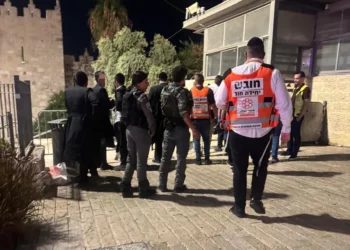 Un terrorista intentó apuñalar a agentes en la Ciudad Vieja