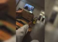 Imagen del artículo sobre el estudiante gazatí suspendido en Maastricht