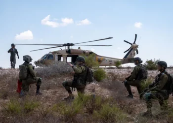 IDF drill (archive)