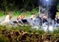 Imágenes del intento de ataque contra una base militar estadounidense en Reino Unido