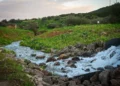 Water discharging from a desalination plant into the Zalmon River and into the Sea of Galilee, March 4, 2026.