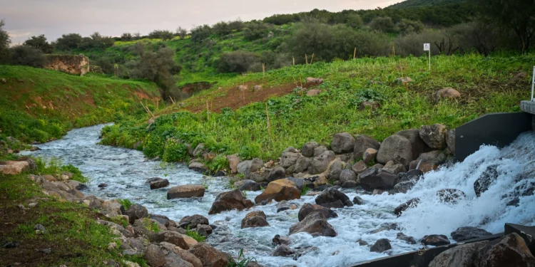 Water discharging from a desalination plant into the Zalmon River and into the Sea of Galilee, March 4, 2026.