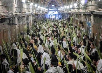 Hombres judíos cubiertos con mantos de oración sostienen las Cuatro Especies durante las oraciones matutinas de Sucot en la entrada del Monte del Templo, en la Ciudad Vieja de Jerusalén, el 27 de septiembre de 2026.