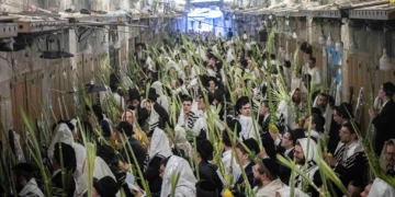 Hombres judíos cubiertos con mantos de oración sostienen las Cuatro Especies durante las oraciones matutinas de Sucot en la entrada del Monte del Templo, en la Ciudad Vieja de Jerusalén, el 27 de septiembre de 2026.