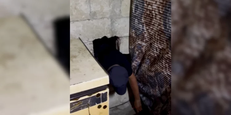 Mohammed Zakhour, sirio que permaneció oculto tras una pared durante más de 13 años