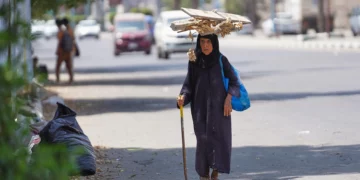 Una mujer yemení lleva leña sobre la cabeza en Adén, Yemen, el 23 de septiembre de 2026.