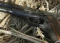 Perro policía durante la búsqueda de un arma enterrada