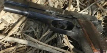 Perro policía durante la búsqueda de un arma enterrada