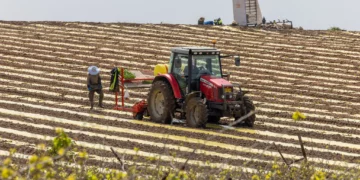 Agricultural workers plant crops in a field in Moshav Pedaya, central Israel, March 25, 2026. (Yossi Aloni/Flash90)