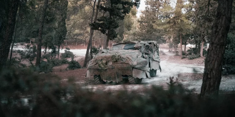 Spectrax camouflage system credit: Shay and Daniel Raz