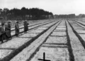 Soldados estadounidenses del 9.º Ejército observan las tumbas del Stalag 326-6k en Alemania el 17 de abril de 1945, donde están enterrados 30.000 prisioneros de guerra rusos.