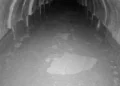 Interior de un túnel localizado por las FDI en el centro de la Franja de Gaza el 23 de septiembre de 2026.