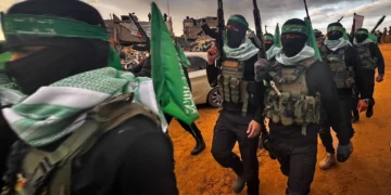 Ayuda humanitaria destinada a la Franja de Gaza