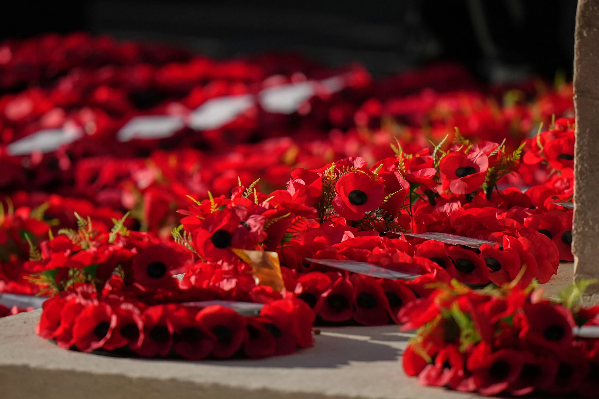 Coronas de amapolas depositadas ante el Cenotafio de Londres durante el Domingo del Recuerdo del 9 de noviembre de 2025.