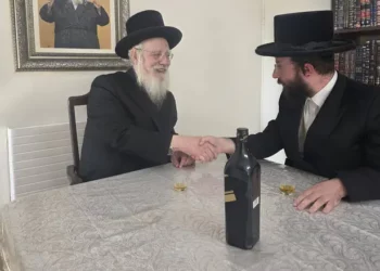 Yisrael Eichler y Elyakim Shtark