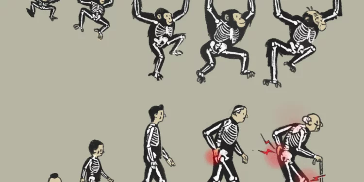 Interpretación de Itai Raveh de la Marcha del progreso, ilustración sobre evolución humana creada por Rudolph Zallinger en 1965.