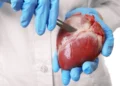 Granadas, fruta asociada con la producción de urolitina A