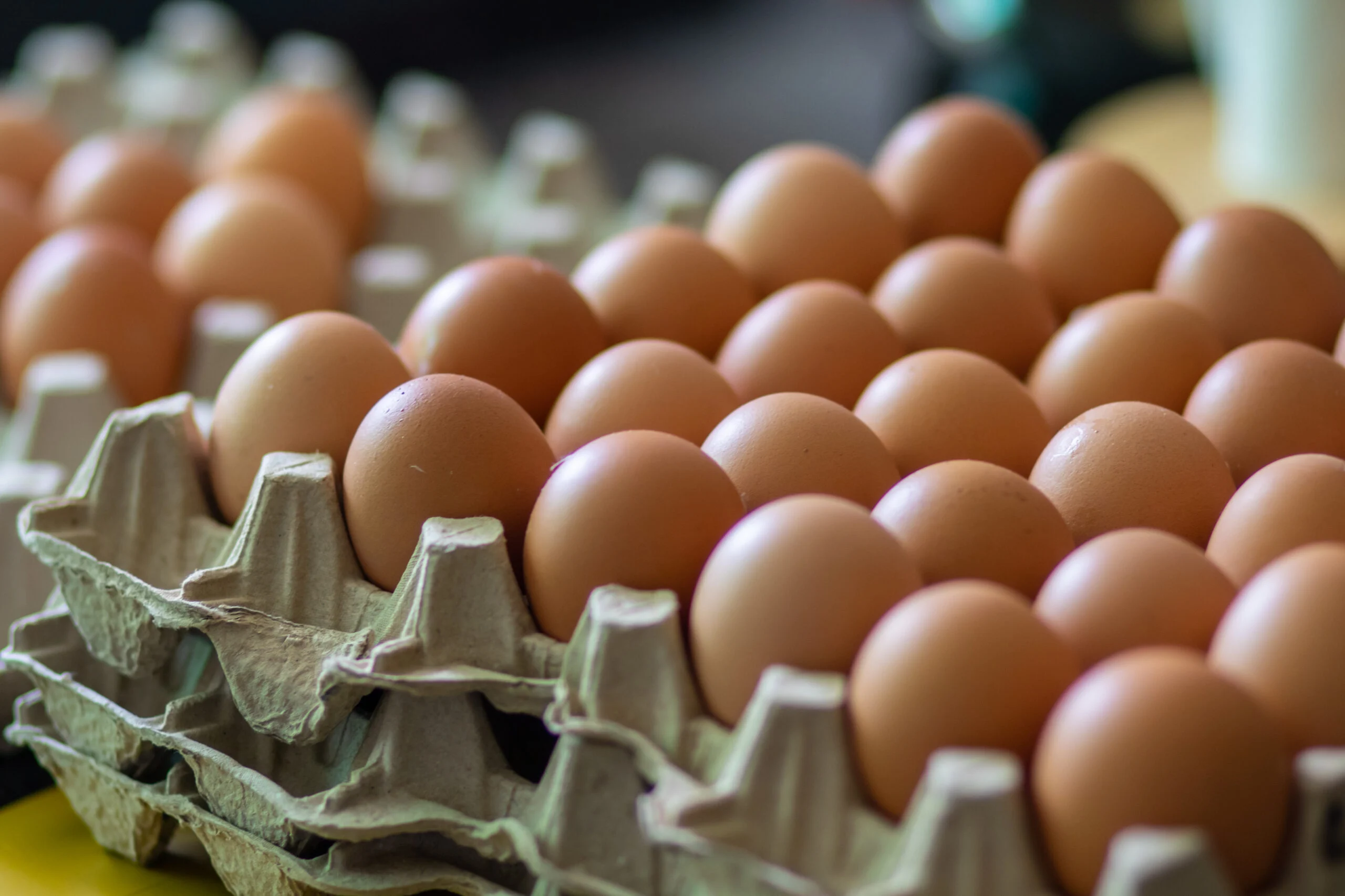 Huevos de consumo
