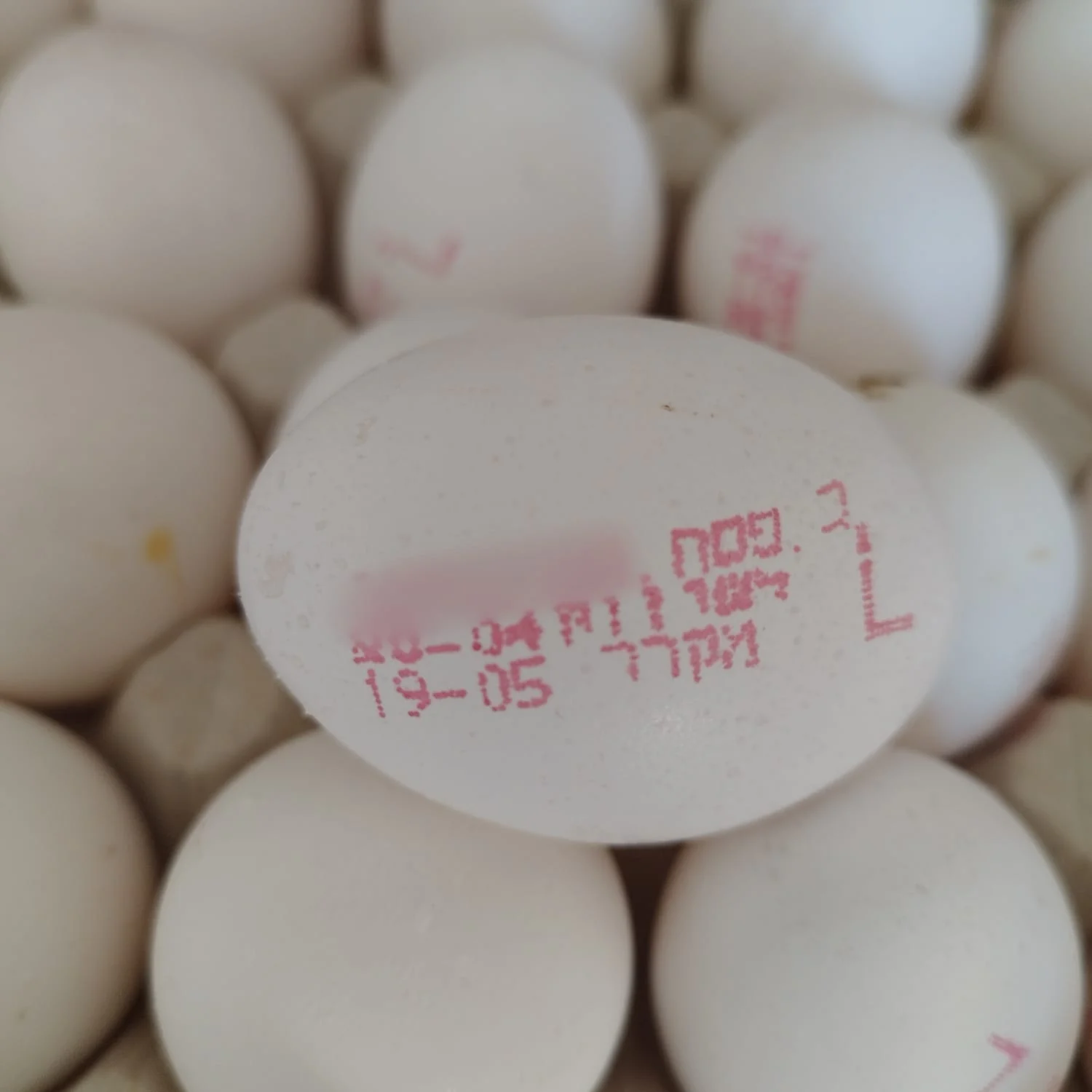 Huevos de contrabando con sellos falsificados