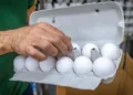 Huevos de consumo