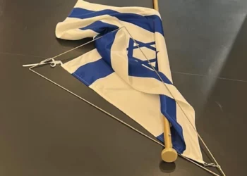 Bandera israelí retirada por Rima Hassan en el Parlamento Europeo