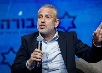 Yinon Magal